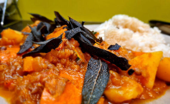 Oranges saftiges Kürbisgulasch an Reis mit frittierten ganzen Salbeiblättern oben auf; auf grauem Teller vor einer grünen Wand; Ca. 3cm Große Kürbisstücke sind gut erkennbar; Obenauf schwarz leicht glänzende ganze Salbeiblätter